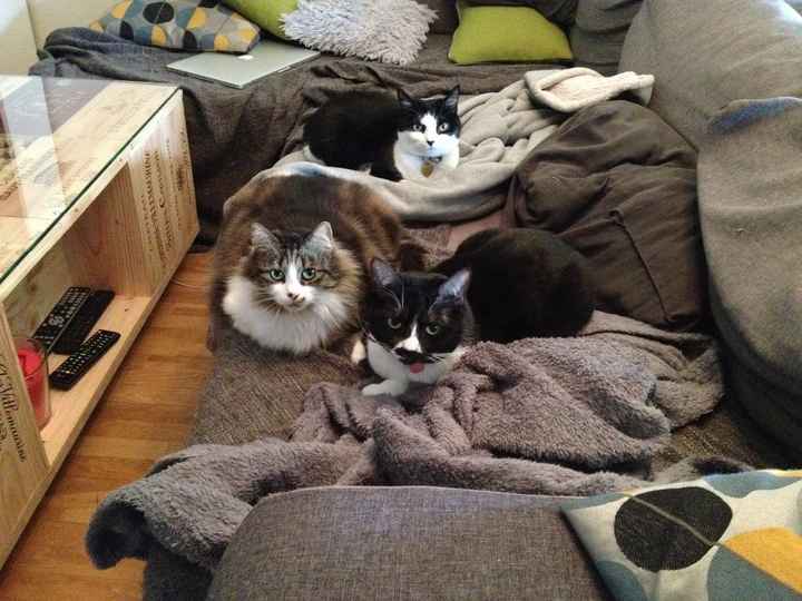nos bébés
