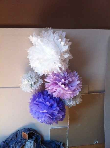 mes pompon