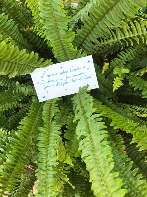 Besoin d'aide - love notes - 1