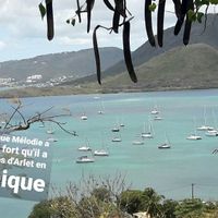 Aidez moi à faire mon Love Note svp il me manque pleins de départements - 1