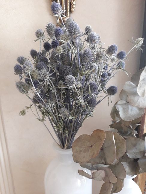 Conseil séchage Chardon bleu 5