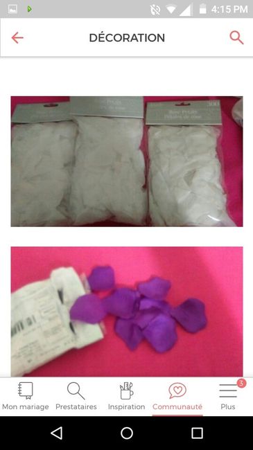 Échange sur un thème en commun : champêtre - 3