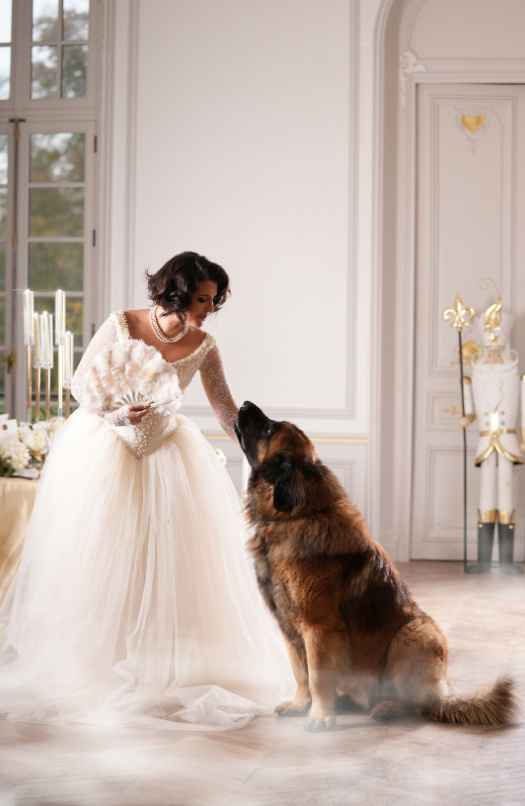 Quel rôle aura votre animal de compagnie le jour de votre mariage ?🐶🐱 - 1