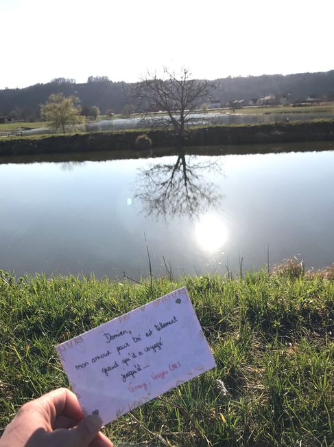 Love notes 💕🐞 - 1