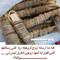 Mourad