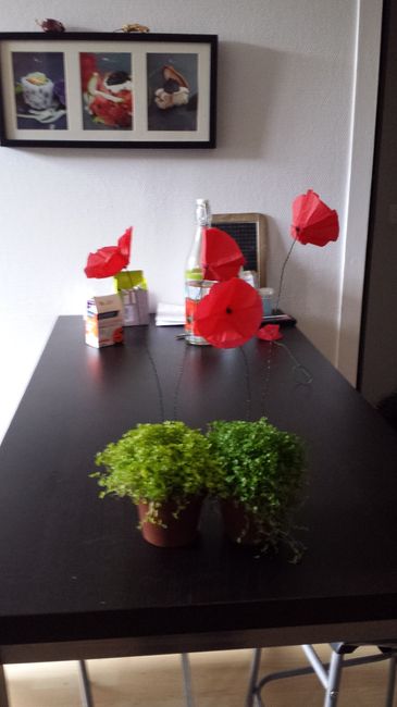 Discussion diy (do it yourself) - 1