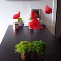  déco de table