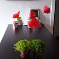 Discussion diy (do it yourself) - 1
