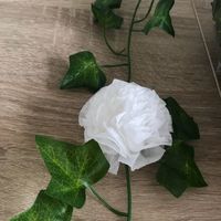 Plafond végétal - 2