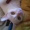 Cece0412