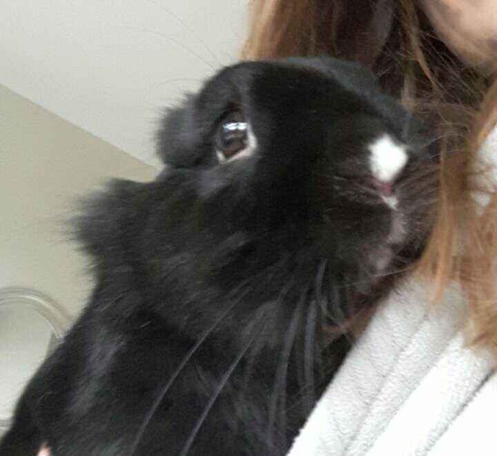cachou
