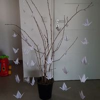 Petit arbre pour séparation de la salle - 1