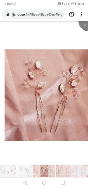 Accessoires pour cheveux oui mais lequel ??? 11