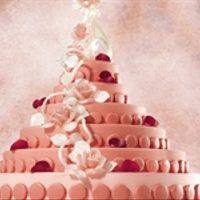 Pièce montée de Macarons