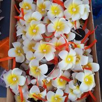 J-17 avant le mariage - 3