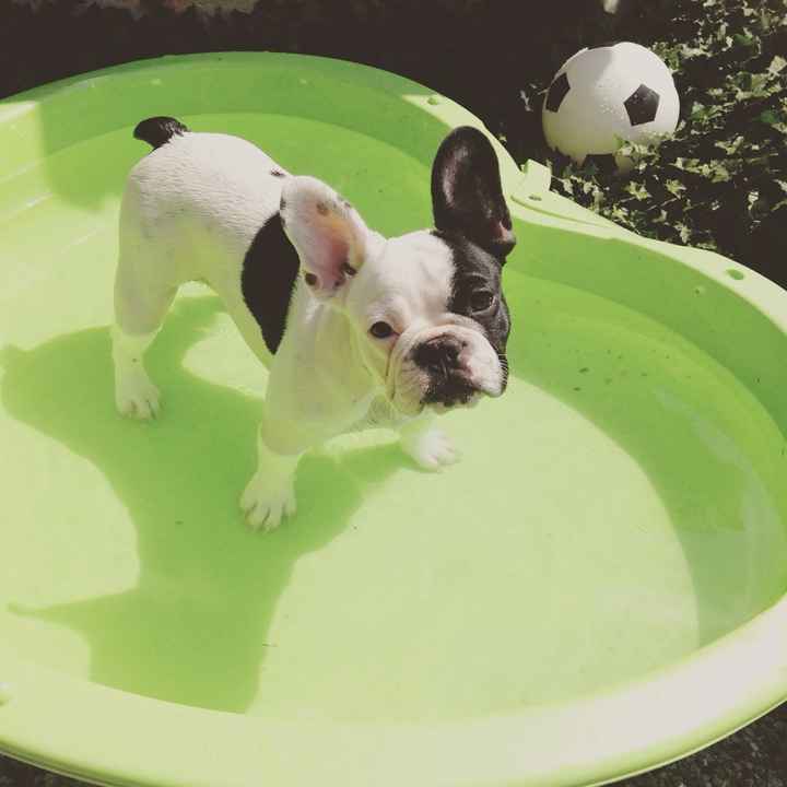 Notre cadeau de mariage en avance - 1