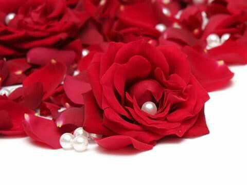 Bouquets de fleurs - 3