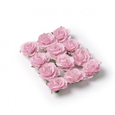 rose rose