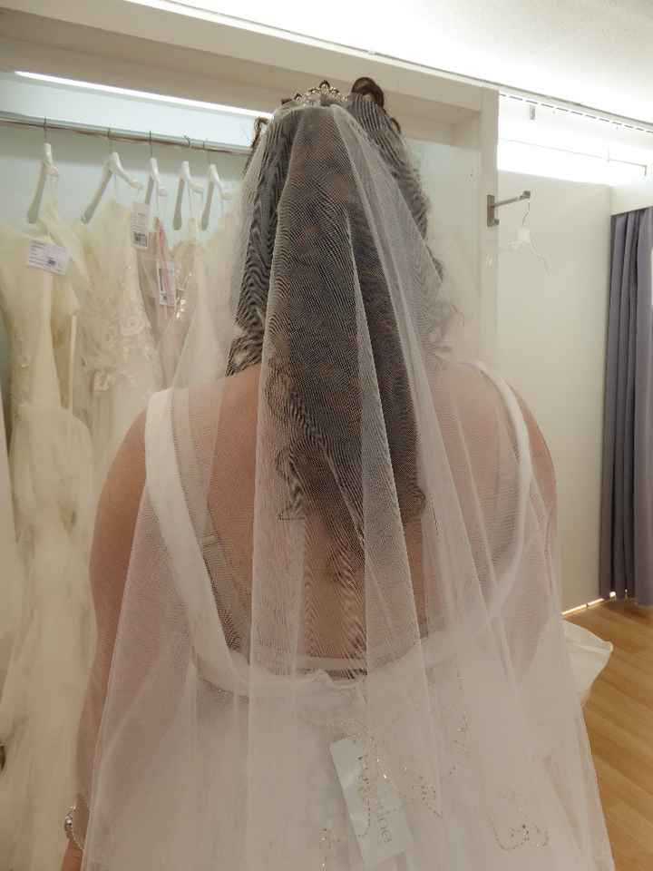 ma coiffure plus le voile (imaginons la robe fermé par un decolté en V)