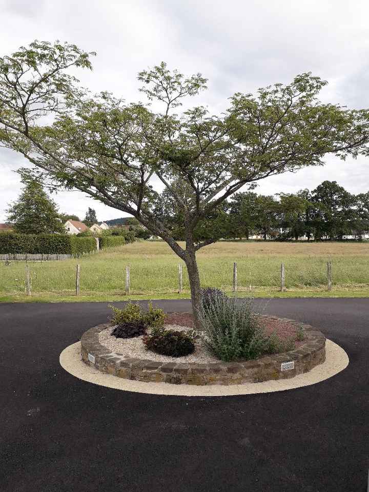 Arche et porte-alliances - 1