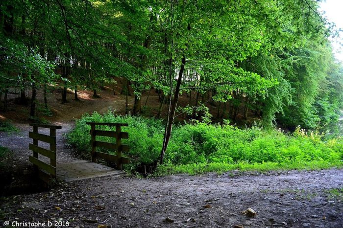 Lieu pour photos de couple dans le nord - 2