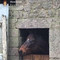 Honorine