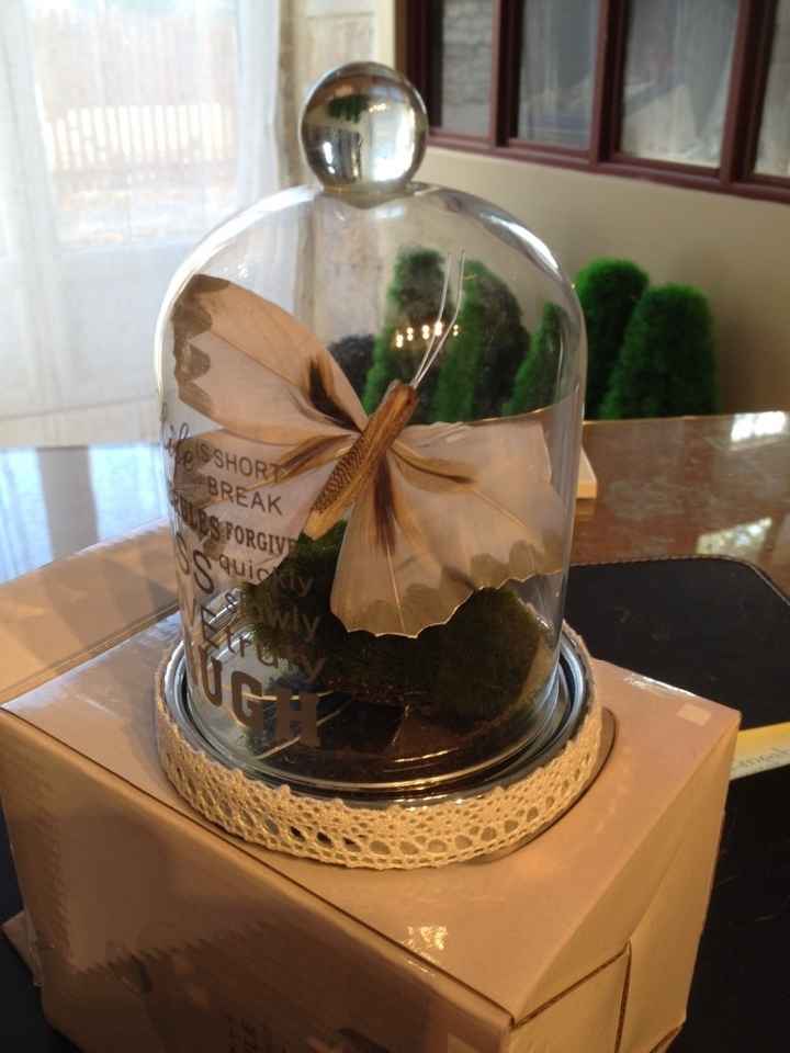 Et HOP un petit de mousse et un joli papillon