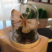 Et HOP un petit de mousse et un joli papillon