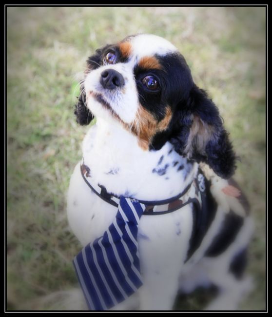 Dernier post et photos 12