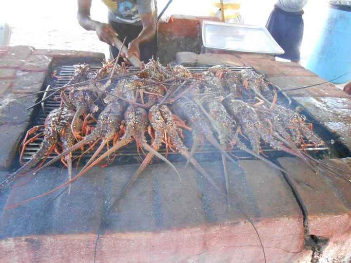 Croisière aux caraibes - 2