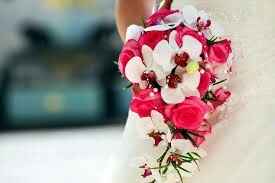 Et si on parlait fleurs. ... - 7