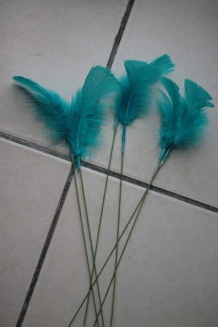Plumes pour mettre dans le bouquet