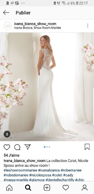 Besoin pour trouver ma robe - 1