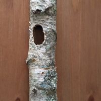 Un allume feu 🔥 - 2