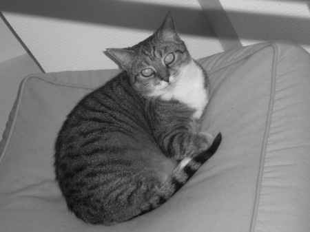 Praline :D