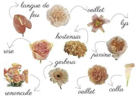 Fleurs "pêche"