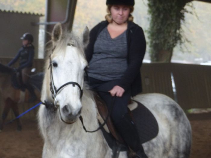 équitation