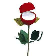 Ecrin rose