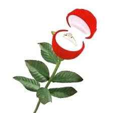 Ecrin rose