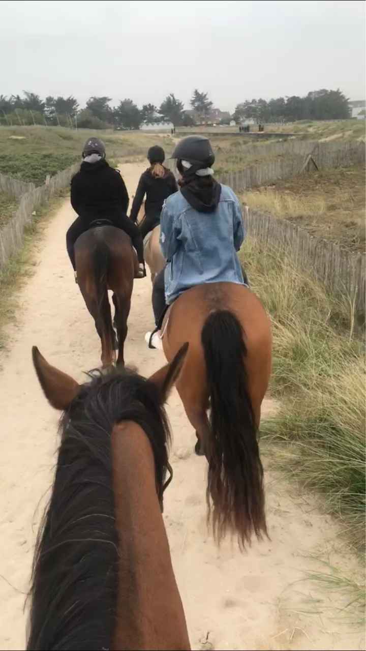 Nous nous marions le 21 Septembre 2019 - Seine-maritime - 3