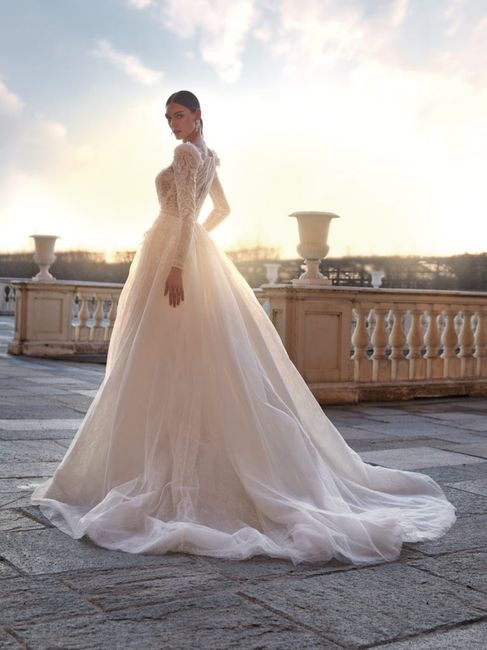 Vin d'honneur : voile ou pas ? - 2
