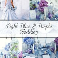 Couleurs : bleu violet