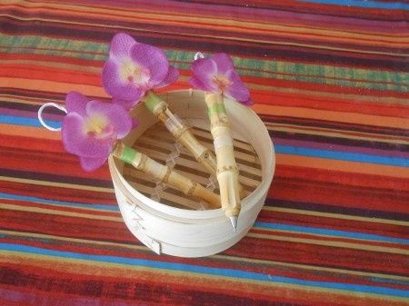Stylos pour le Livre