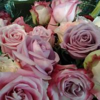 camaïeu de roses pour mon bouquet