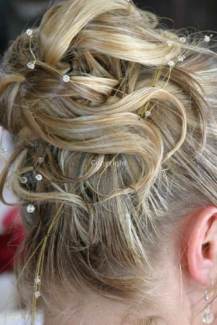 chignon