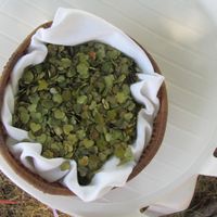 Confettis naturels - 1