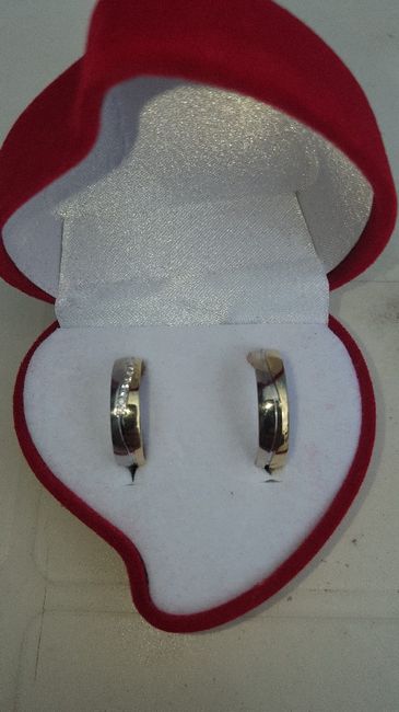 Alliances 2 couleurs - 1