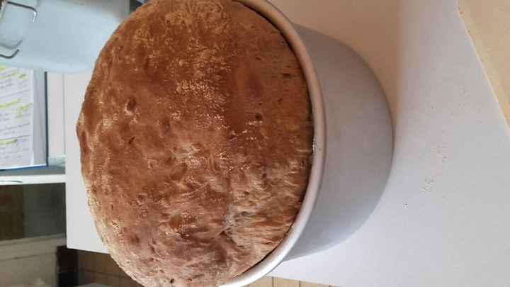 En mode test de pain surprise - 3