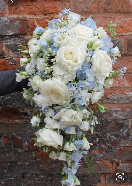 Gros doute sur la couleur du bouquet 10
