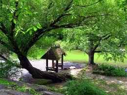 Déco presque fini ! - 4